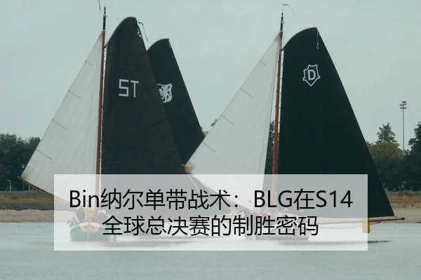 na-er-dan-dai-zhan-shu-zai-quan-qiu-zong-jue-sai-de-zhi-sheng-mi-ma-2-518.jpg
